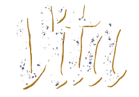 Vita logo vode